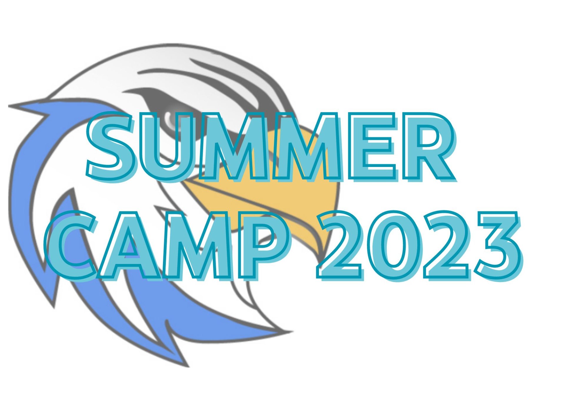 Summer Camp is Here!