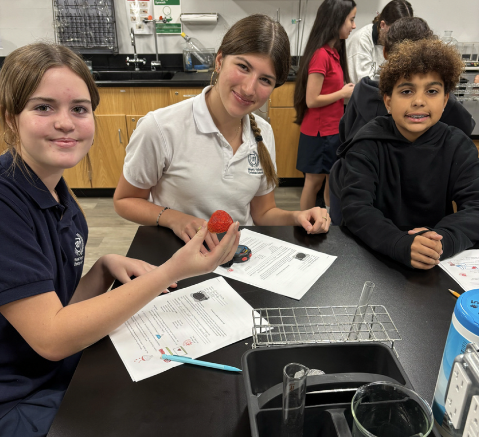 Extracting DNA from Strawberries - 7th Grade Science