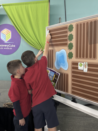 Plants, Paper Airplanes, and Participation at the Discovery Cube