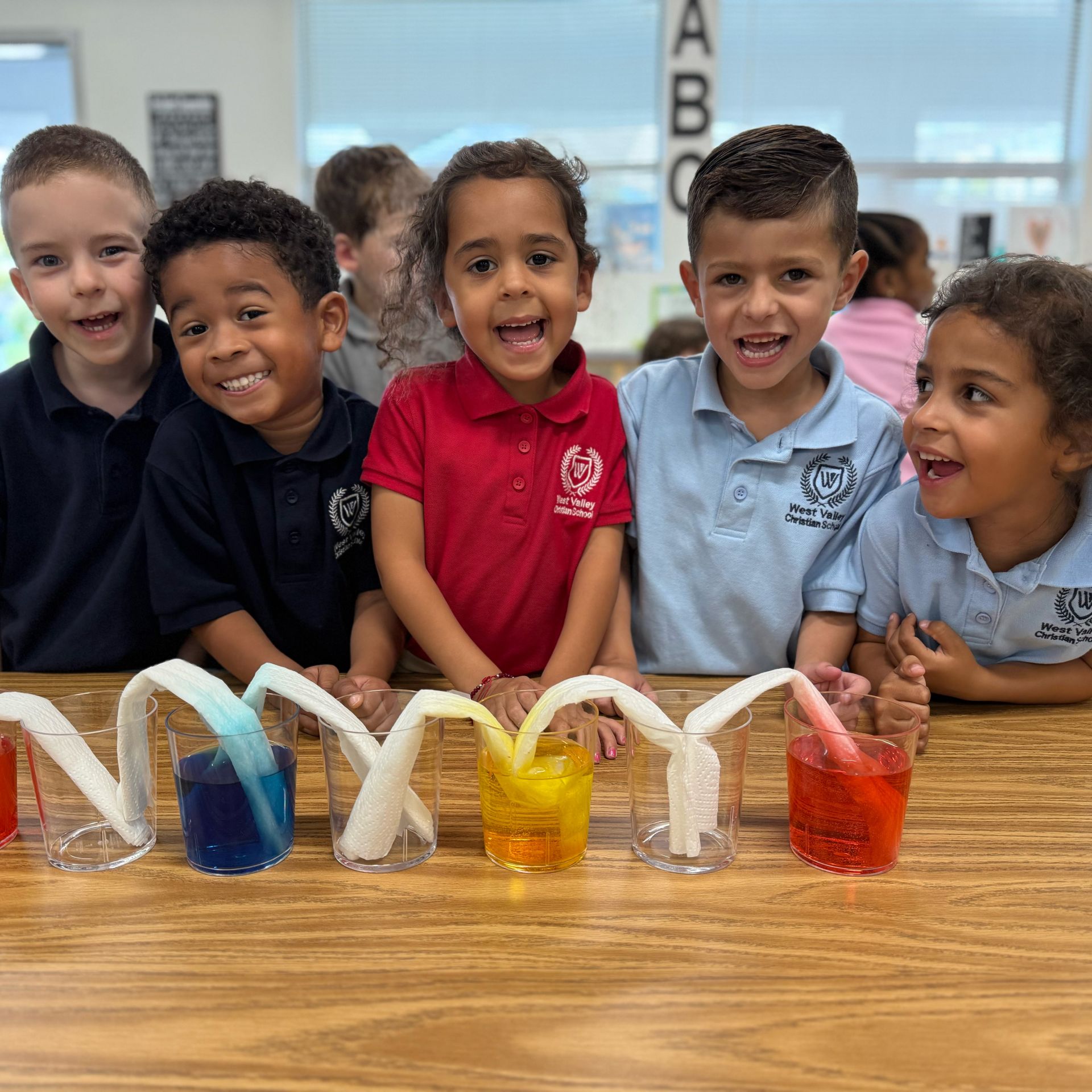 Climbing Waters: Exploring Capillary Action in TK